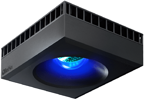 Reef Led